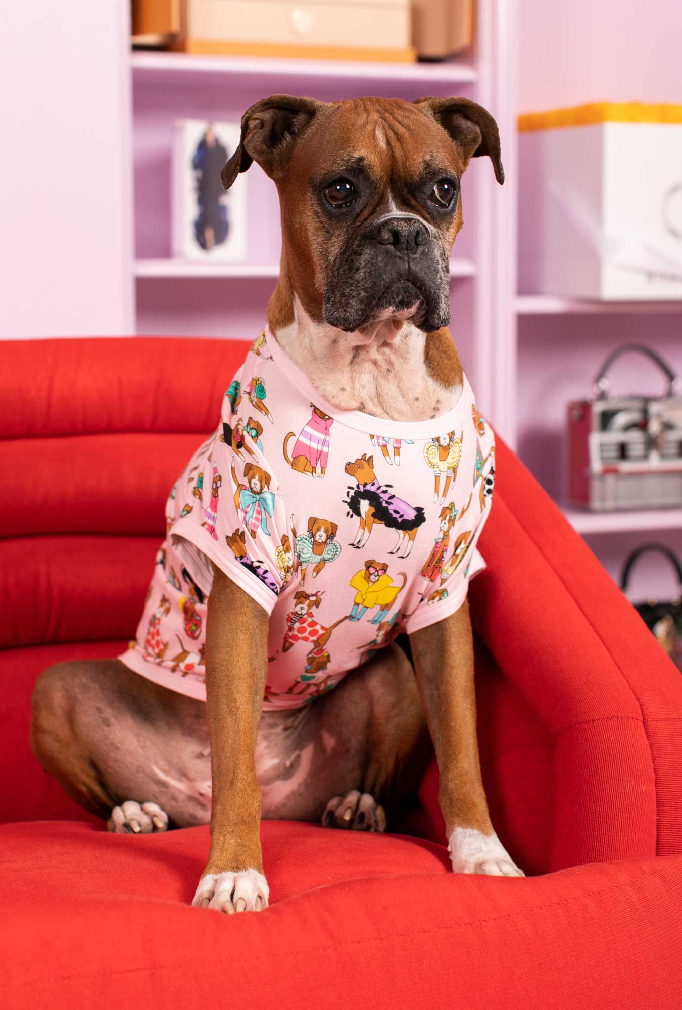 Bedhead x Bronwyn Newport Chic Boxers Stretch Jersey Dog Pajama