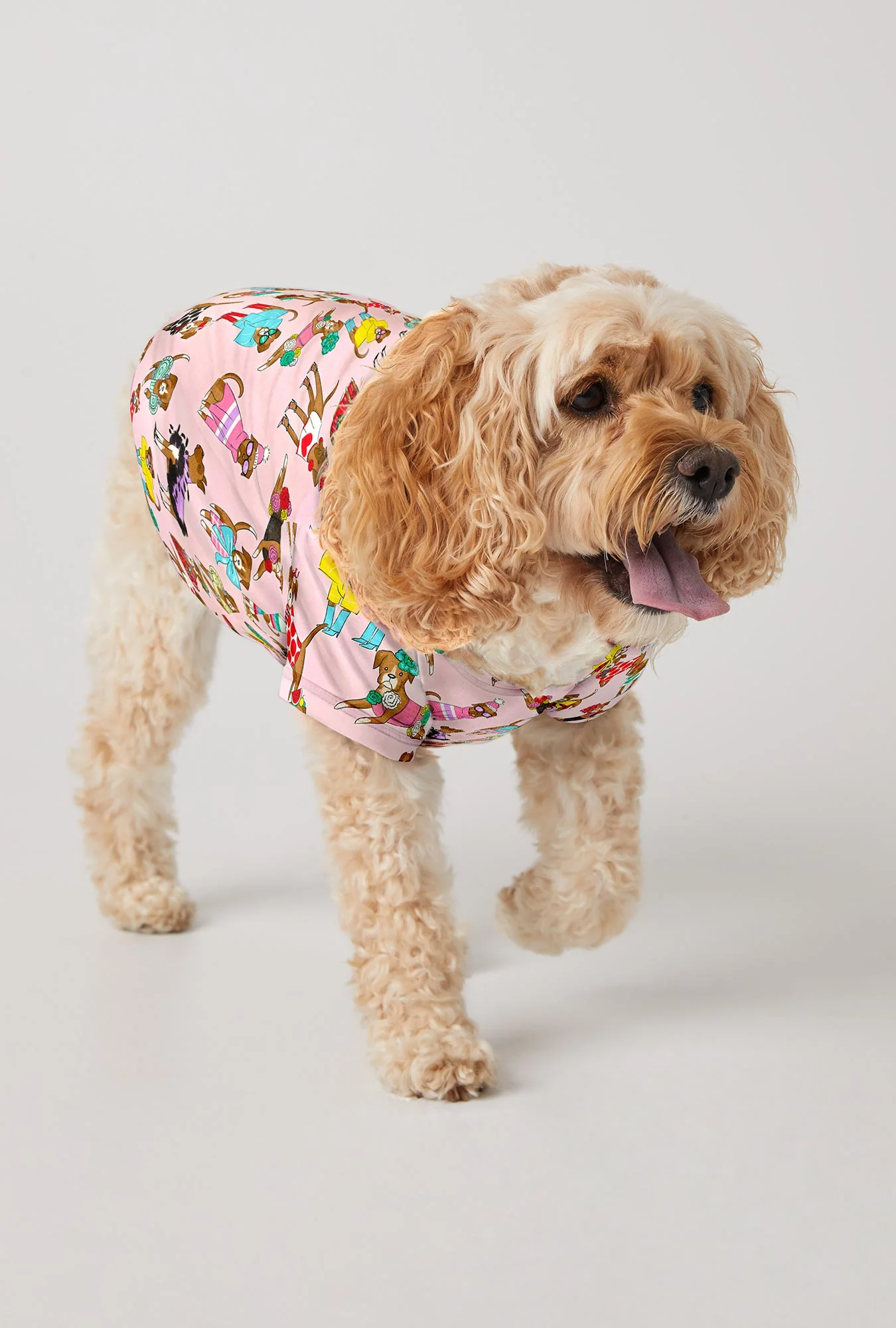 Bedhead x Bronwyn Newport Chic Boxers Stretch Jersey Dog Pajama - Image 2