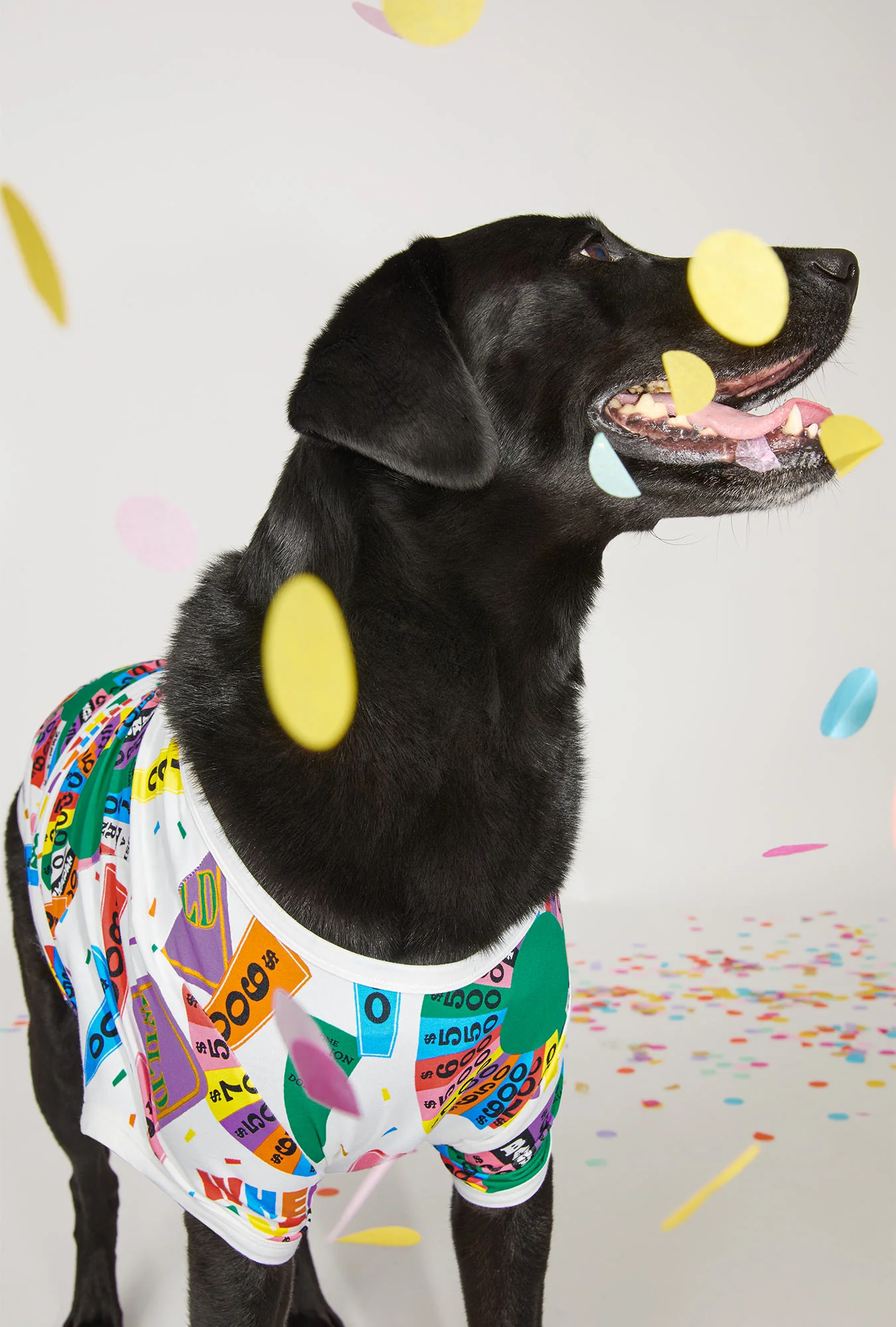 Wheel Of Fortune Stretch Jersey Dog Pajama