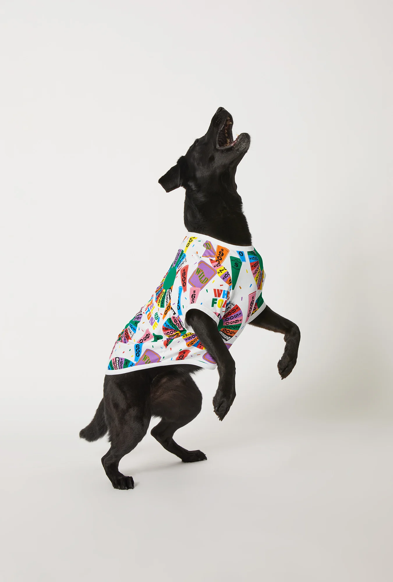 Wheel Of Fortune Stretch Jersey Dog Pajama - Image 3