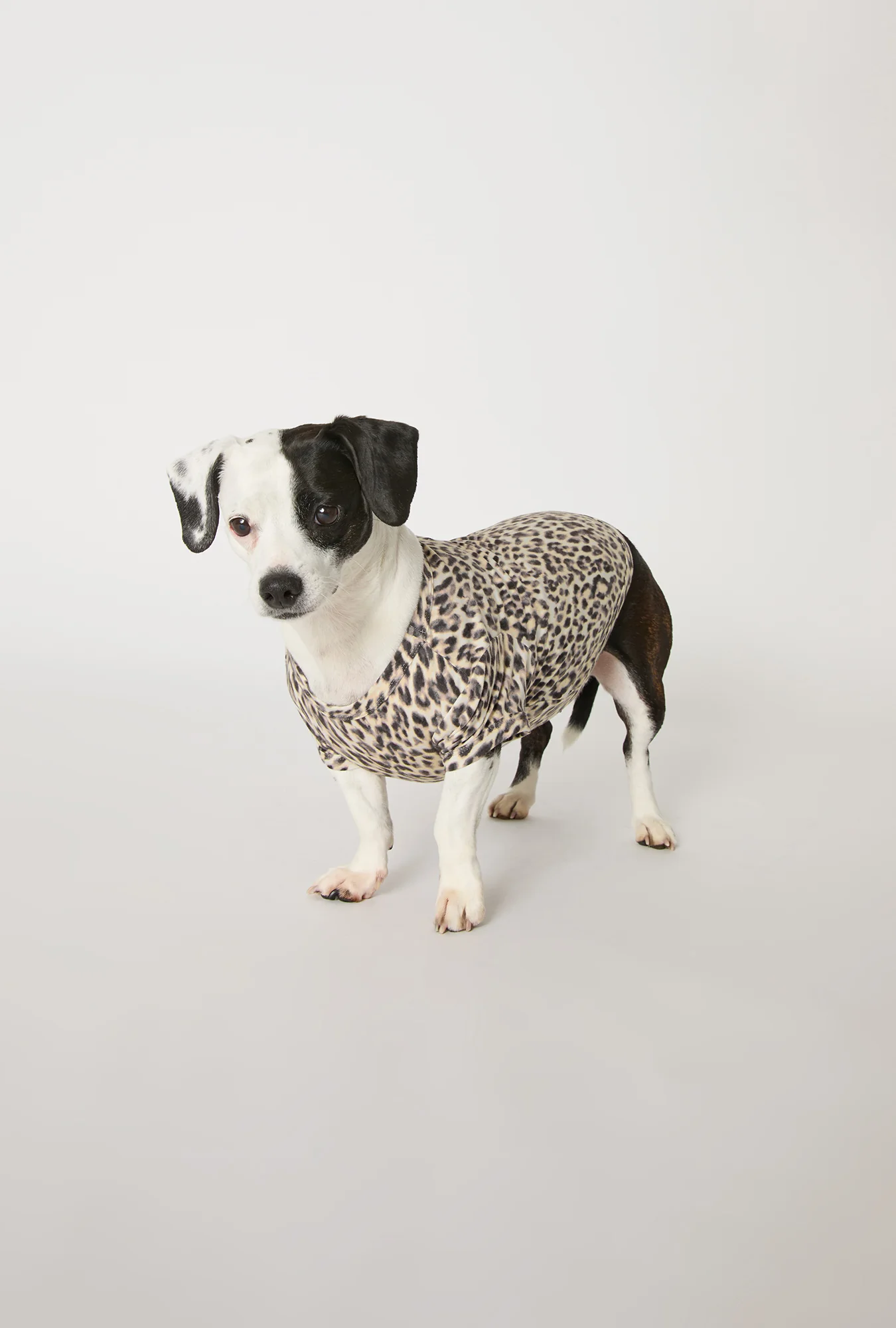 Wild Thing Stretch Jersey Dog Pajama