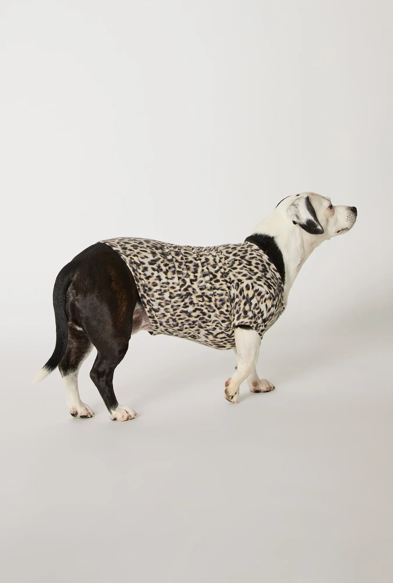 Wild Thing Stretch Jersey Dog Pajama - Image 2